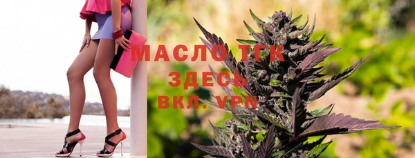 шишки Коряжма