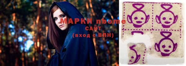 шишки Коряжма