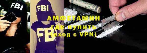 шишки Коряжма