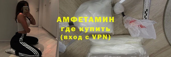 шишки Коряжма