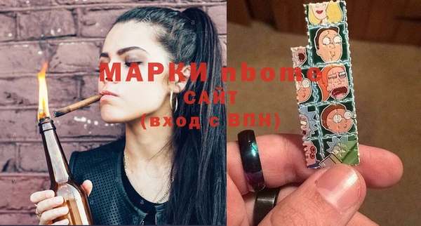 шишки Коряжма