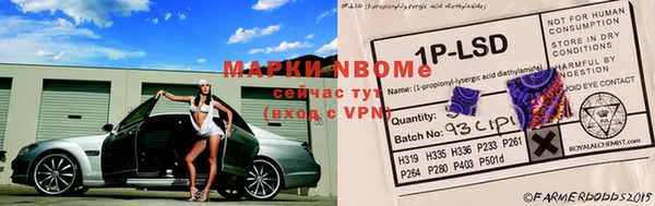 шишки Коряжма