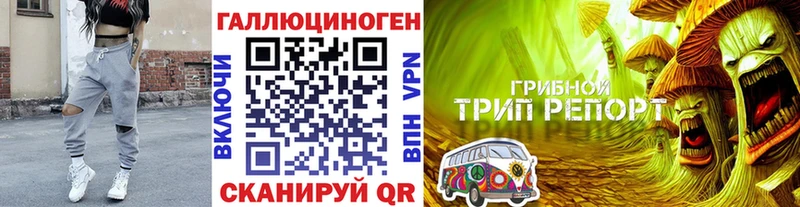 Галлюциногенные грибы GOLDEN TEACHER  Купить где  Курск 